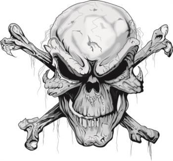 Skull N Bones rc digital decal
